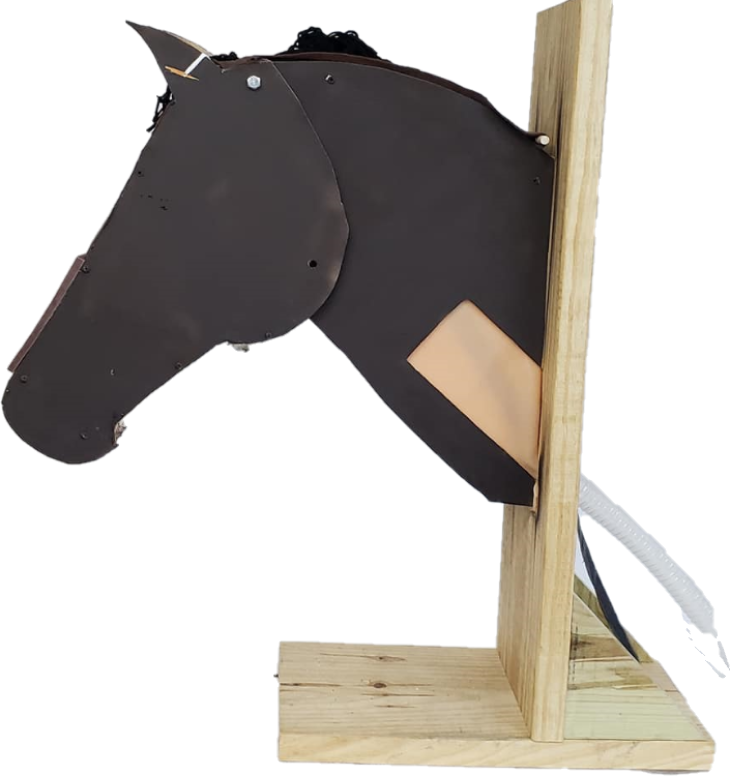 Horse Head Model